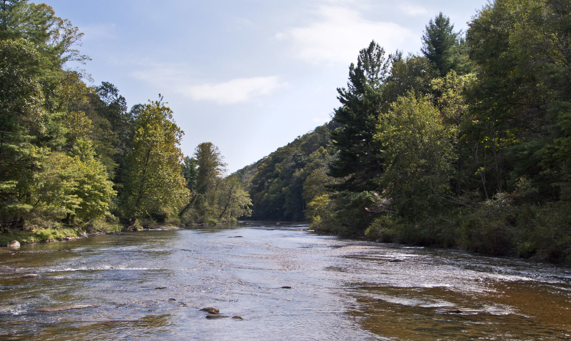 Elk Shoals rewilding